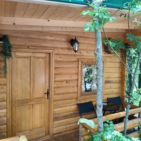 Still Cabin Cetinje Exterior photo