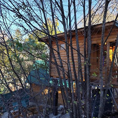 Still Cabin Cetinje Exterior photo